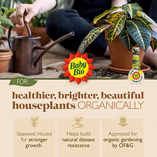 Baby Bio Organic Liquid Houseplant Food Concentrated Nitrogen Plant Tonic, 175ml – 2