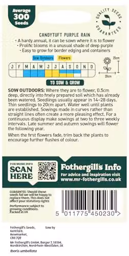 Mr Fothergill's Oh Sow Simple Candytuft Purple and White Flower Seeds – 2