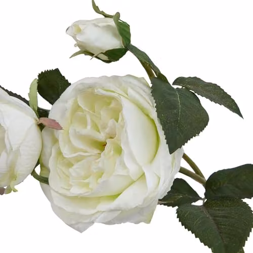 Hill Interiors Natural Garden Collection White Rose Artificial Flower – 2