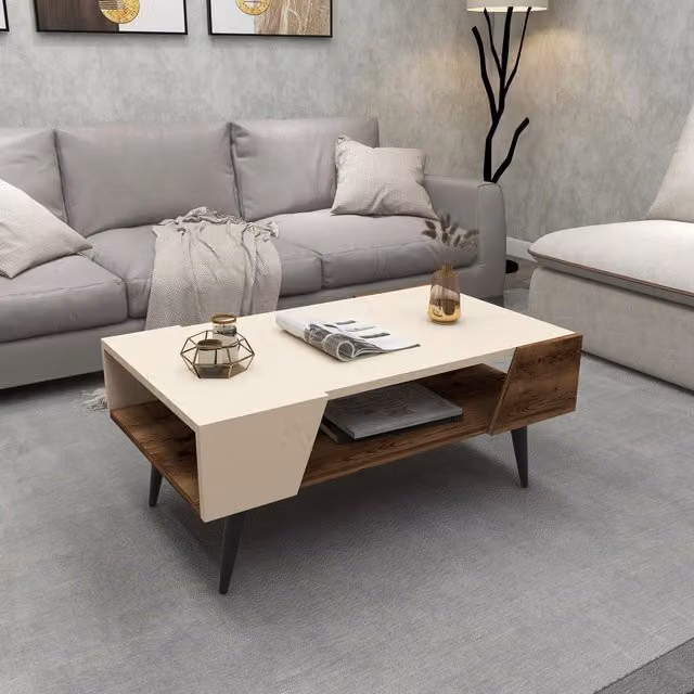 Destina Home Aren Coffee Table with Storage Unit in Beige