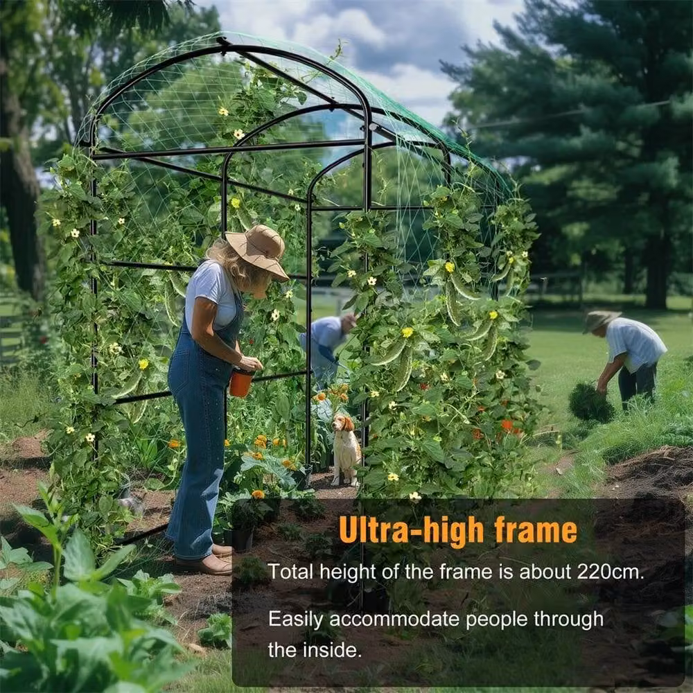 NESTLUNE Black Metal Outdoor Garden Climbing Plant Support Frame, W: 50 cm, H: 100 cm, D: 50 cm – 2