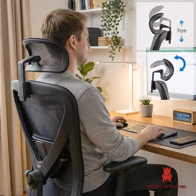 Realm of Thrones Ergonomic Mesh Swivel Office Chair with Headrest and 3D Armrests in Black