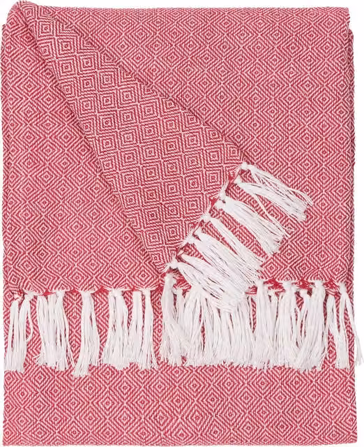 Dessa Woven Geometric Indoor and Outdoor Throw with Fringes in Pink