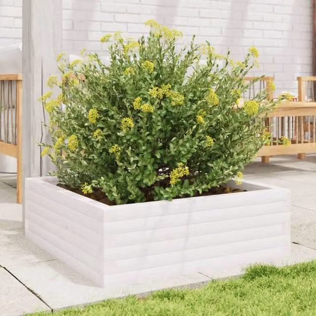 Berkfield Home Decorative White Ornamental Garden Planter Made of Solid Wood, W/D/H: 70 x 70 x 23 cm
