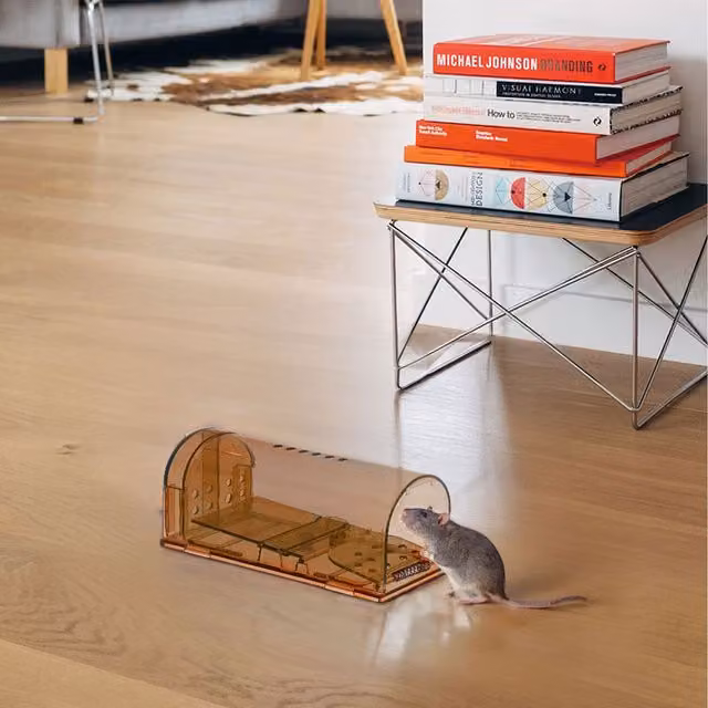 Livingandhome Set of Humane Mouse Trap Cages in Brown and Transparent