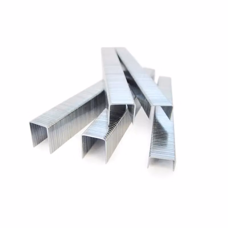 Tacwise 140 Series Galvanised Flat Wire Staples in Multicolour – 2