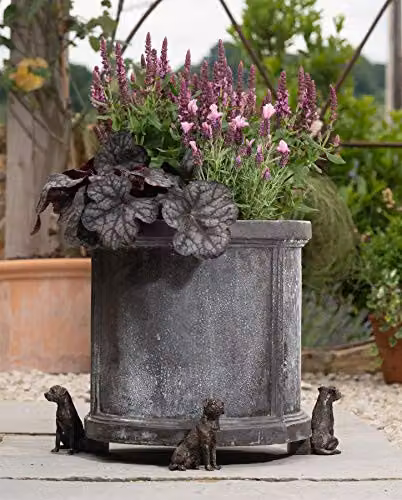 Potty Feet Border Terrier Decorative Plant Pot Feet, Bronze, Set of 3, L7.5 x W8.5 x H9 cm – 4
