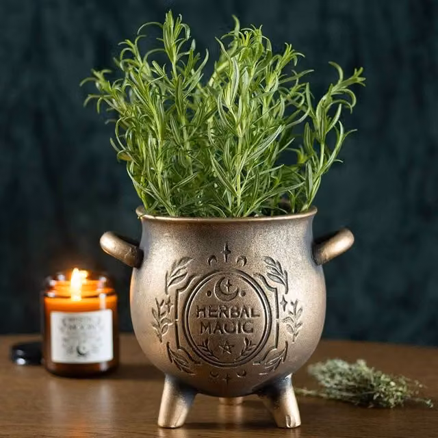 Uniqueful Herbal Magic Bronze Effect Terracotta Cauldron Plant Pot in Gold