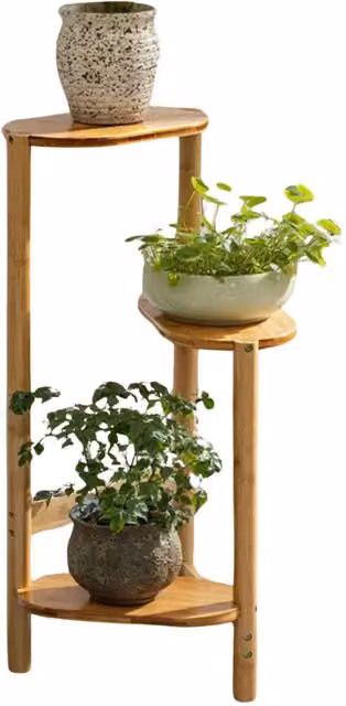 Pirlo Plush 3 Tier Lacquered Bamboo Plant Stand, Brown, H 75.0 x W 32.0 x D 32.0 cm