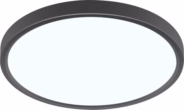 GOECO 24W Round LED Ceiling Light, 6500K, IP54 Waterproof, Black