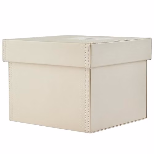 Orsina Beige Faux Leather DVD Storage Box with Lid – 1