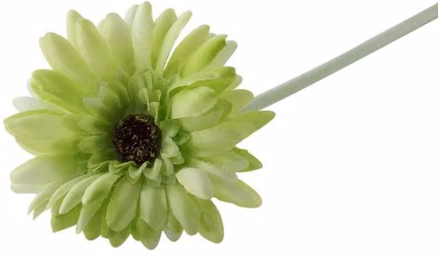 Kingsbury Gifts Artificial Single Green Gerbera Stem, 52 cm