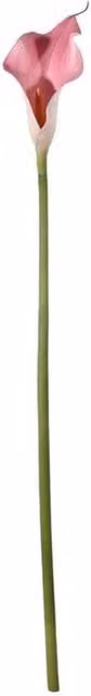 KDMD Botanica Pink Calla Lily, 4 Pack, Height: 60 cm