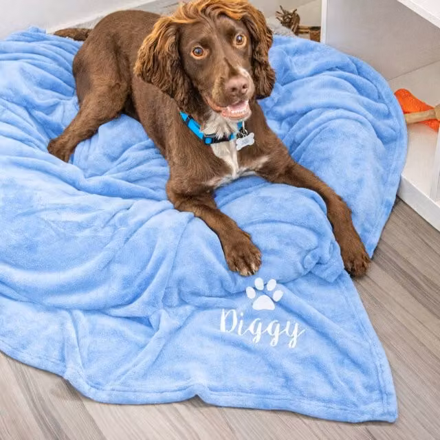 Duncan Stewart Personalised Woven Dog Blanket Throw in Light Blue, W/D: 180 x 140 cm