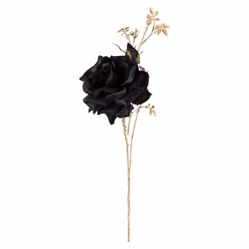 VFM e-Store Christmas Rose Spray Pick Decoration in Black, H 80 cm x W 16 cm