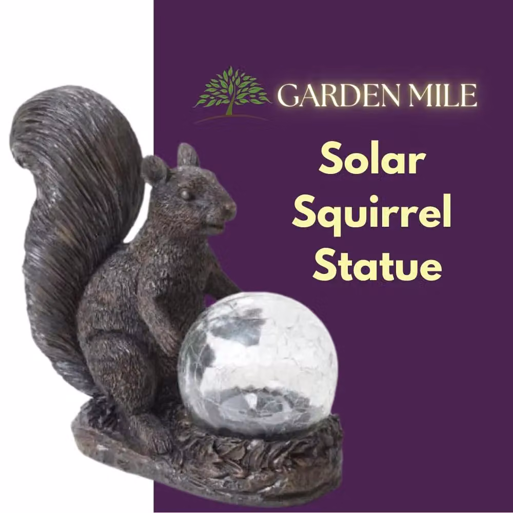 Marco Paul Solar Squirrel Garden Ornament with Multicolour Colour Changing Crackle Ball – 3
