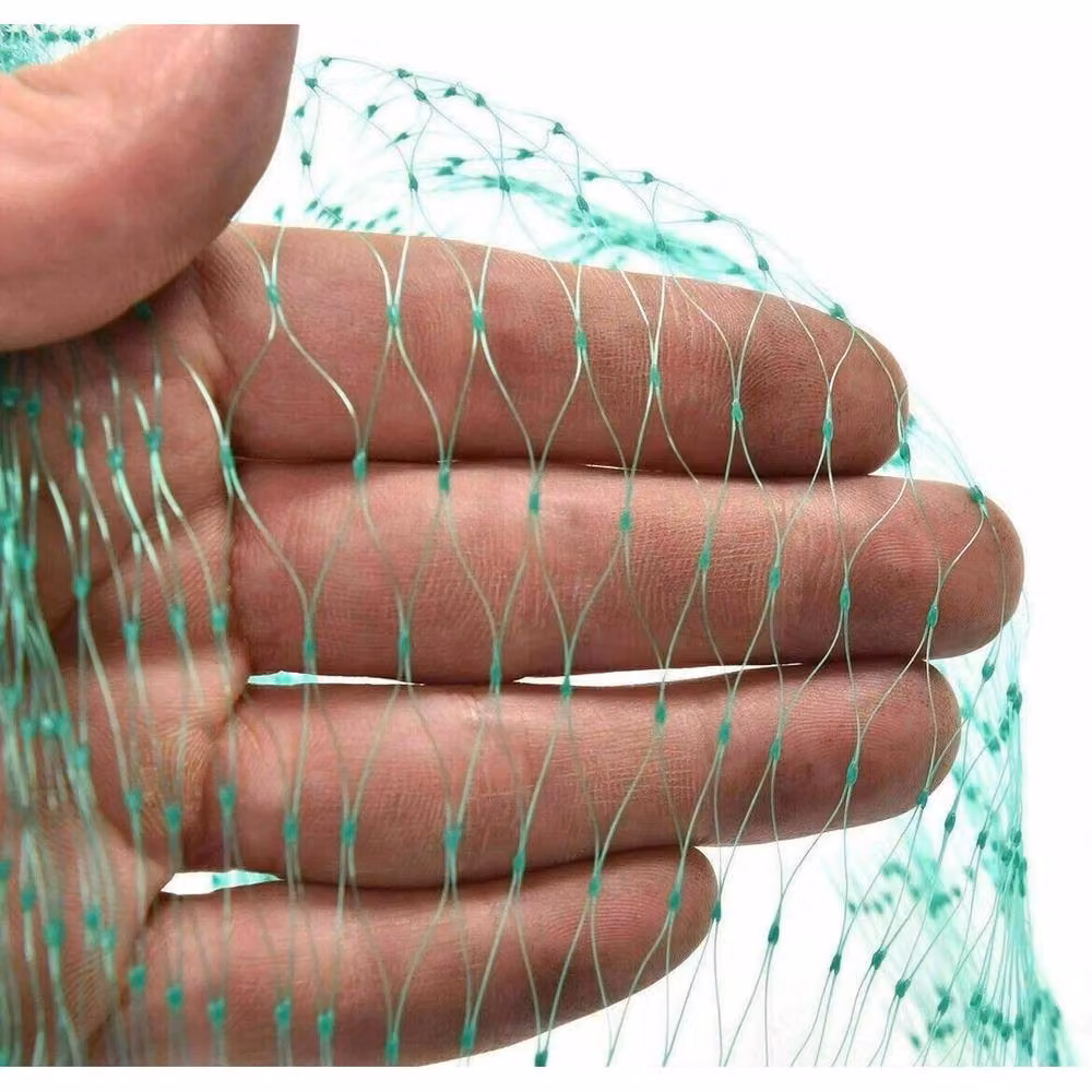VOGREX Heavy Duty Green Nylon Anti Bird Crop Mesh Netting for Vegetable Gardens, W: 2 m, L: 10 m – 2