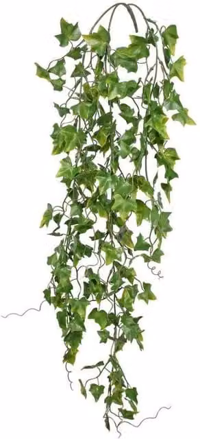 KDMD Everlast UV Exterior Ivy Trailing Hanging Plant in Green, Height: 74 cm