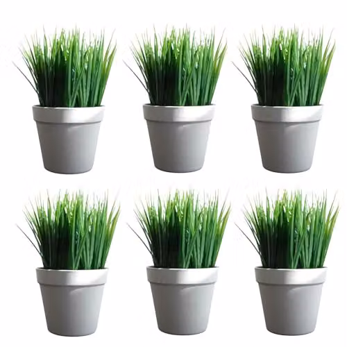Leaf UK Pack of 6 Green Artificial Grass Plants, Height: 22 cm – 3