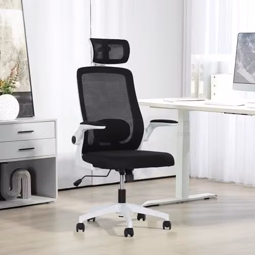 HOMCOM Executive Mesh Office Chair with Headrest and Armrests in Black