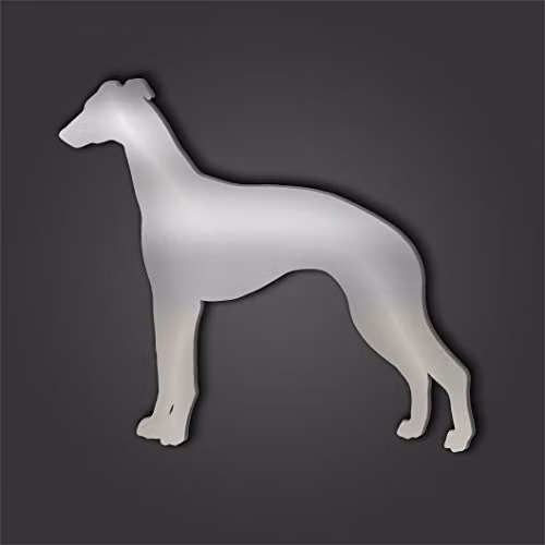 Whippet Style 2 Extra Large Silver Acrylic Pet Mirror, W: 60.0 cm, H: 60.0 cm, D: 2.0 cm – 2