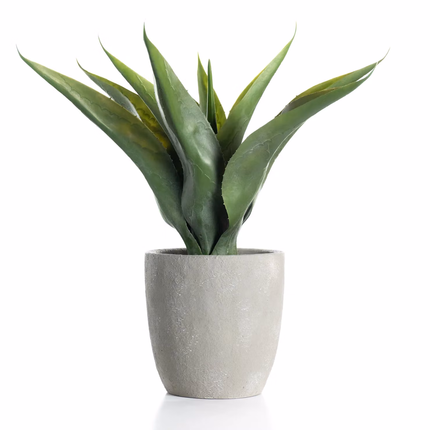 Scottish Everlastings Ltd Green UV Protected Potted Agave Succulent in a Grey Round Plastic Pot, Height: 57 cm – 2
