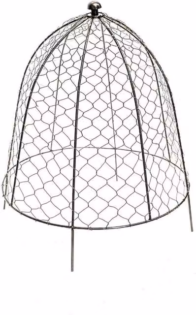 Lemon Pavilion Outdoor Wire Netted Plant Protector in Dark Grey Mild Steel, W/D/H: 47 x 47 x 55 cm – 1