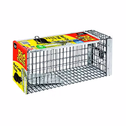 STV International The Big Cheese Humane Rat Cage Live-Catch Trap in Grey and Silver
