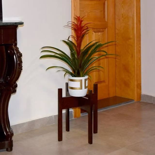 Decorotika Modern Lacquered Beech Wood Plant Stand in Black or Brown, H: 60 cm x W: 36 cm x D: 36 cm