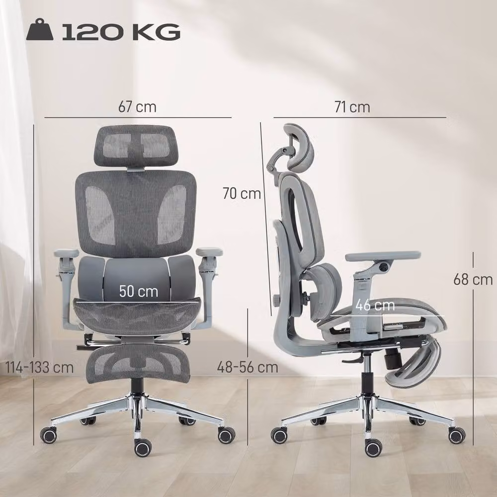 ERGOVEXA Ergonomic Office Chair in Grey with Headrest, Armrests and Foot Ring – 1