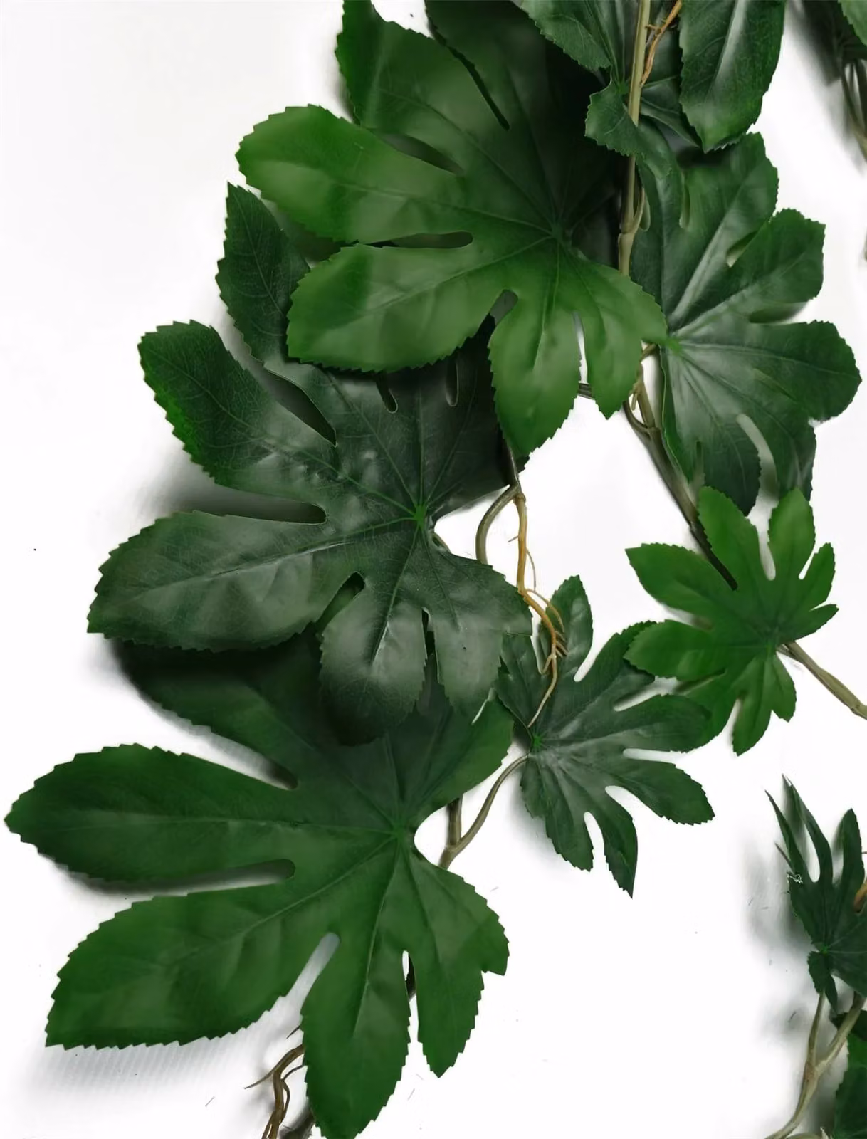 Leaf Design Artificial Hanging Aralia Plant in Green and Multicolour, 110 cm – 2