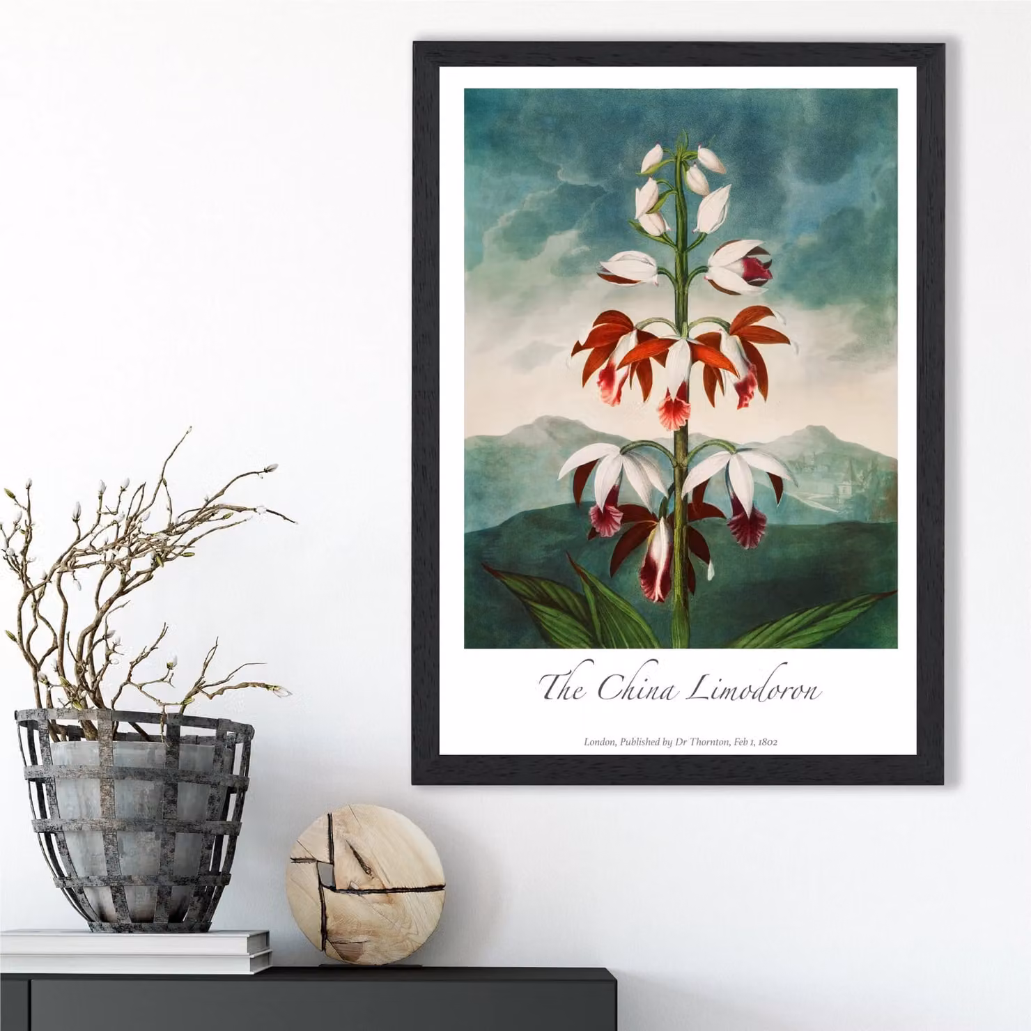ARTZE The China Limodoron Vintage Floral Framed Print, Multicolour Botanical Illustration in a Black Frame, A3 – 2