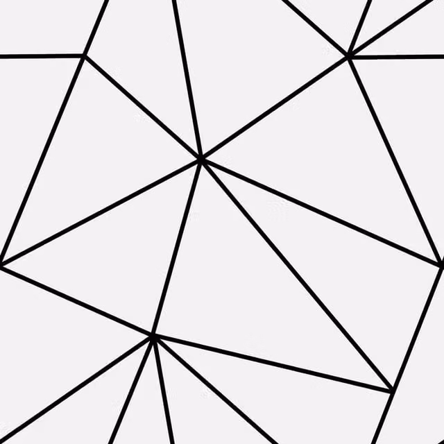 I Love Wallpaper Zara Mono Geometric Abstract Art Deco Wallpaper in White and Black