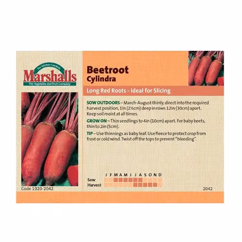 Unwins Beetroot Cylindra Red Vegetable Seeds
