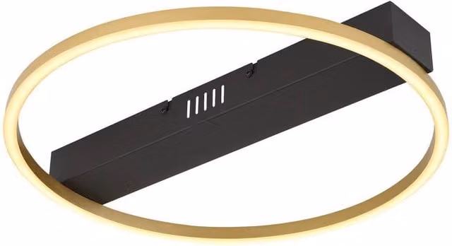 Netlighting Luffy Integrated LED Semi Flush Ceiling Light in Black and Gold/Brass with Warm White 3000K Light – 1