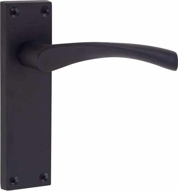Golden Grace Polished Black Door Handles
