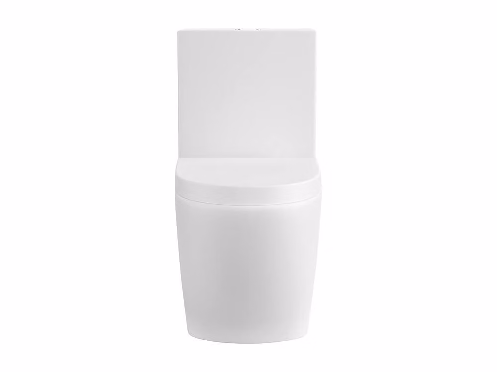 Vente-unique NAGILAM Matt White Ceramic Floor-Standing WC with Soft-Close Seat and Horizontal Outlet, H: 39 cm, W: 53 cm, D: 78.5 cm – 2