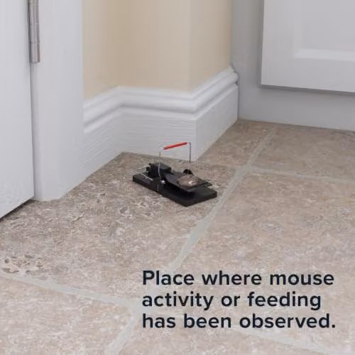 Rentokil RKLFM63 Advanced Mouse Trap, Pack of 2, Blue and Black – 4