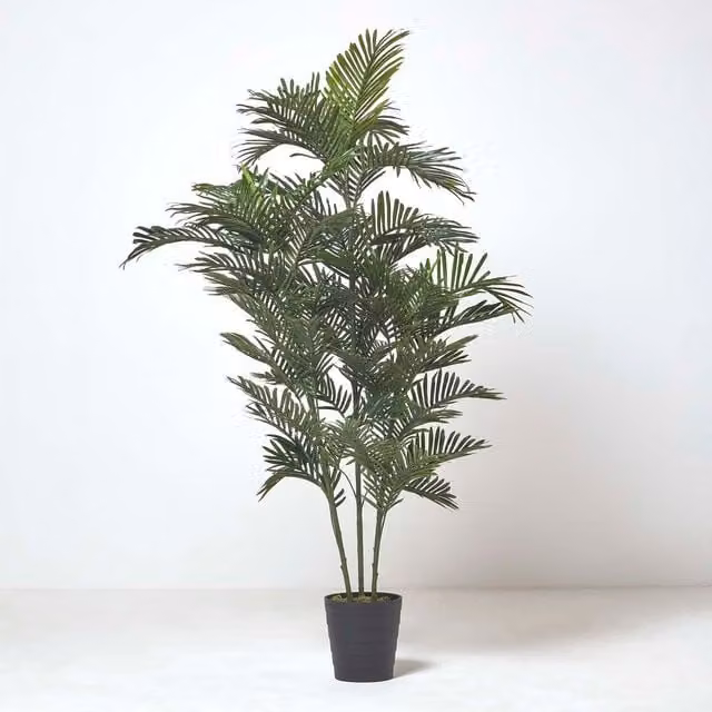 Homescapes Green Areca Palm Tree in Pot, Height: 120 cm