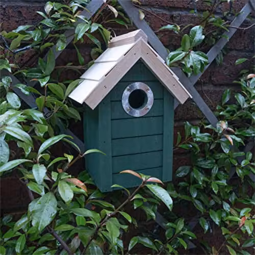 St Helens Home & Garden Wood Bird House Nesting Box, Green, W/D/H: 25.0 x 18.0 x 17.5 cm – 1