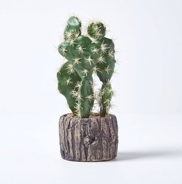 Homescapes Artificial Prickly Pear Cactus in a Stone Pot, Green and White, Height: 26 cm