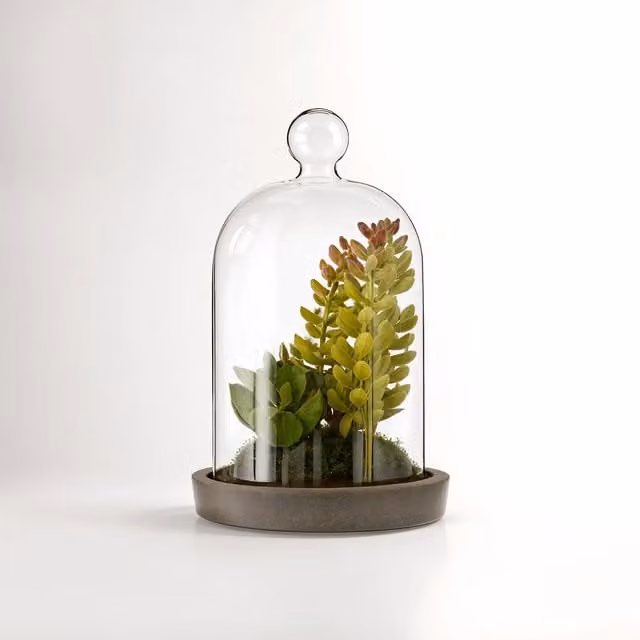 Orsina Fiori Small Succulent Dome with Concrete Base in Grey, Green and Red – 1