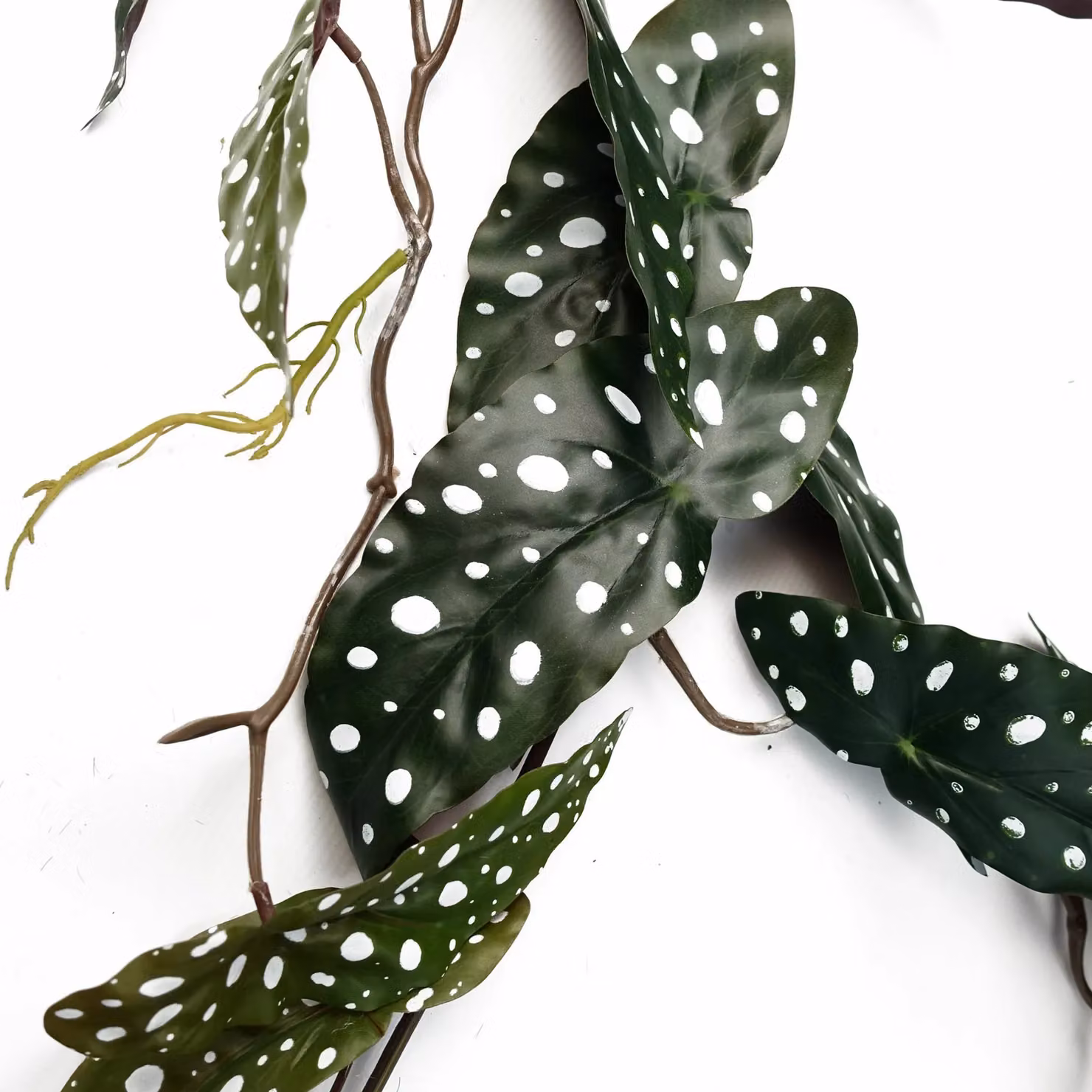 Leaf Design Artificial Hanging Begonia Maculata Spotted Plant in Green and Multicolour, Height: 110 cm – 2