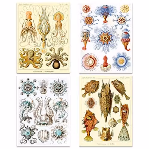 Artery8 Ernst Haeckel Kunstformen Der Natur Vintage Sea Life Biology Art Print Poster Pack of 8, Multicolour – 2