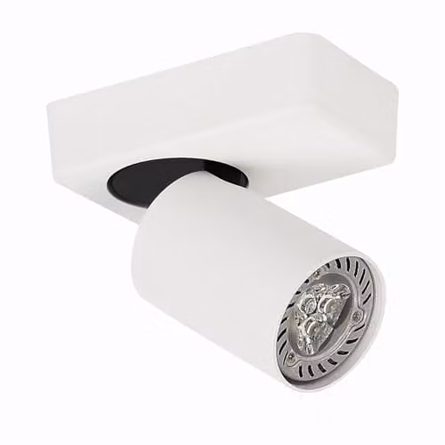 Netlighting Modern Aluminium Cylinder Ceiling Spotlight with GU10 Shade in White or Black