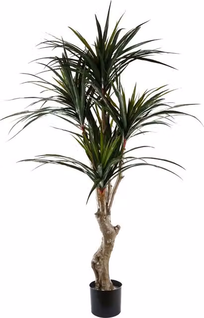 UV Resistant Green Plastic Yucca Artificial Tree with 238 Leaves