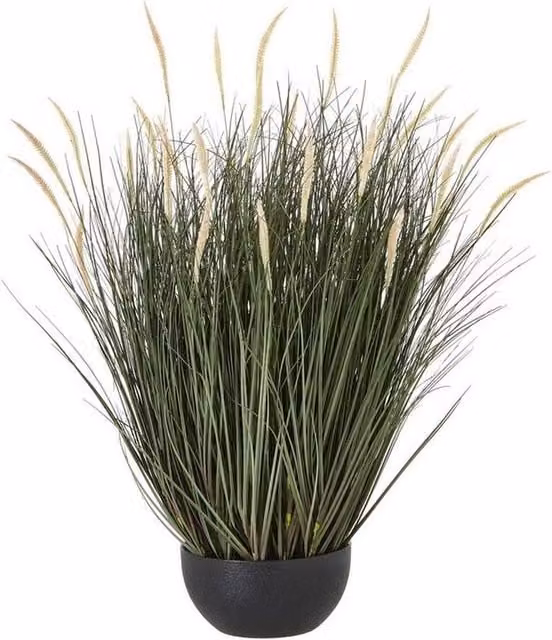 Lemon Pavilion Furniture and Decor Large Potted Fountain Grass Plant in Green and Black Plastic, Height: 81 cm