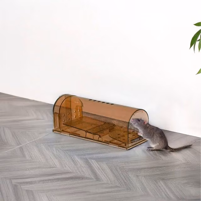 Komore 4 Pack Transparent Humane Mouse Traps in Brown