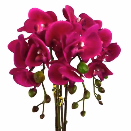 Leaf Design UK Realistic Artificial Potted Orchid Flower Display in Dark Pink and Silver, Height: 52 cm – 2