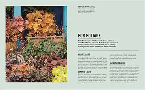 DK Grow Containers: Essential Know-how and Expert Advice for Gardening Success by Geoff Stebbings Paperback Book, Multicolour – 3